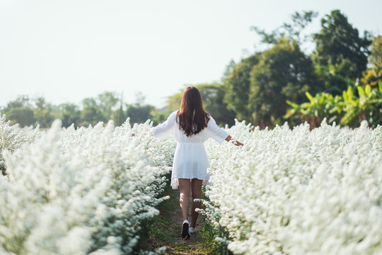 Portrait image of an asian woman walking into a beautiful Cutter flower field