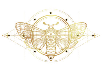 Golden moth over sacred geometry sign, isolated vector illustration. Tattoo flash. Mystical symbols and insects in gold. Alchemy, occultism, spirituality. Hand-drawn vintage.