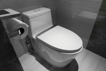 Excretion problems.  Modern bathrooms with flushing and decorating ideas.  Black and white photo concept