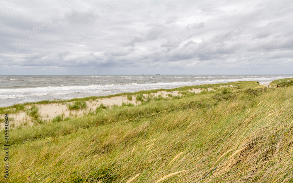 Poster coastal scenery at Spiekeroog