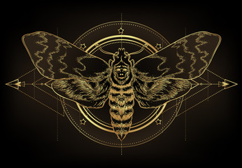 Golden moth over sacred geometry sign, isolated vector illustration. Tattoo flash. Mystical symbols and insects in gold. Alchemy, occultism, spirituality. Hand-drawn vintage.