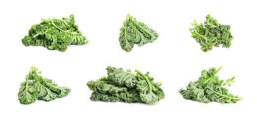 Set of fresh green kale leaves on white background