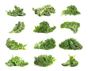 Set of fresh green kale leaves on white background - obrazy, fototapety, plakaty
