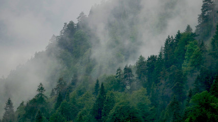 Nebel an den Berghängen