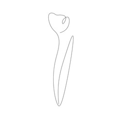 Flower tulip one line drawing background vector illustration