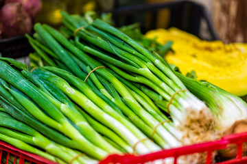Closeup of pile of green onion stalks vibrant color on display farmers market shop store grocery in Florence, Italy