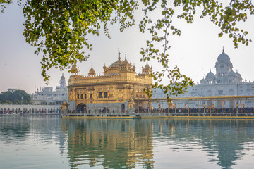Obraz premium Serene view of Golden Temple, Amritsar, India