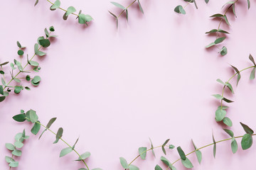 Frame of eucalyptus branches on a pink surface. Floral background, flat, top view
