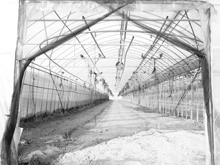  House in old village of Korean countryside