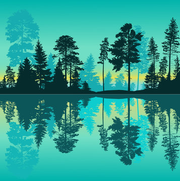 high green pines in forest with cyan reflection © Alexander Potapov