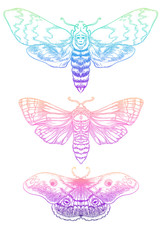 Gradient Moth Set. Beautiful vintage vector illustration. Psychedelic neon composition. 