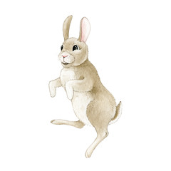Funny small hopping rabbit watercolor illustration. Happy cute dancing bunny hand drawn image. Fluffy farm animal isolated on white background. 
