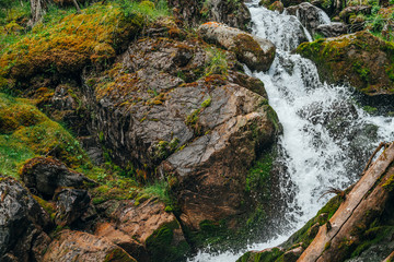 Scenic landscape with beautiful waterfall in forest among rich vegetation. Frozen motion of splashes. Clear spring water. Atmospheric woody scenery with mountain creek. Wild plants and mosses on rocks