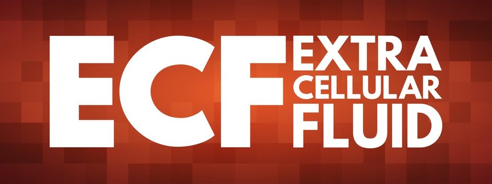 ECF - Extracellular fluid acronym, medical concept background