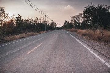 Fototapeta premium Road in the Forest