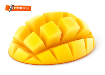 Mangue vectorielle sur fond blanc