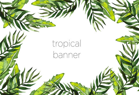 Tropical leaves horizontal banner, trendy Summer tropical leaves. Exotic and tropic background design. Composition with palm leaves watercolor universal background with place for text.