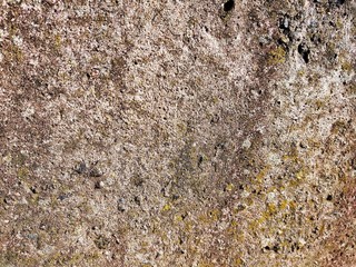background with texture of old gray concrete and stone partially covered with green moss
