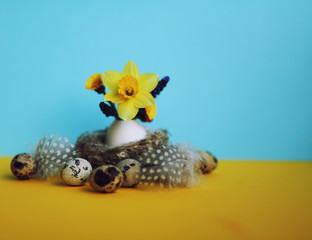 Easter  background with daffodils and eggs,nest,bunny