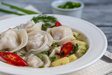 Soup with dumplings garnished with onions and peppers. In the background are greens, red peppers and bay leaves. On a light wooden background.
