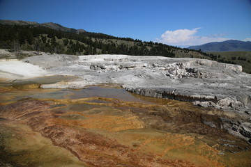 Mammoth Spring, Yellowstone National Park