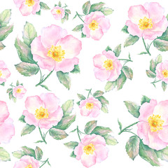 Floral seamless pattern with rose hips flowers and leaves. Hand drawn background. Spring flower pattern for wallpaper or fabric. 