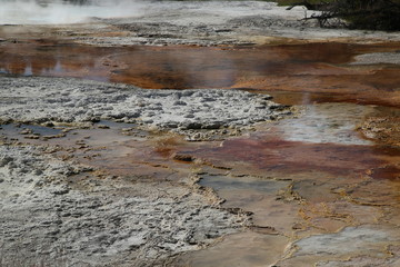 Mammoth Spring, Yellowstone National Park