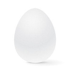 White chicken egg