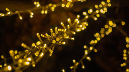 Close up Christmas decorative yellow on black background. Christmas holiday