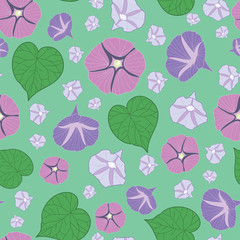 Morning glory flowers seamless pattern on green background