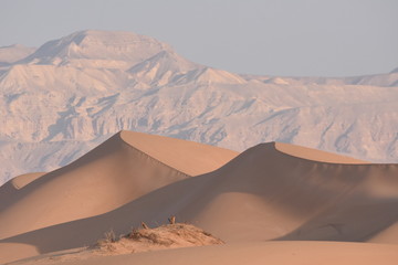 Fototapeta na wymiar Sand dunes in Jordan. Desert at the Royal Route.