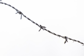 Barbed wire on white background. Barbed wire covered by snow.