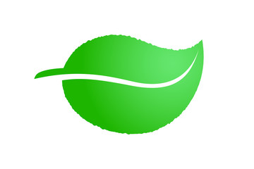 Green leaf eco icon. Ecology nature symbol vector isolated illus