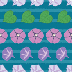 Seamless pattern morning glory on blue stripes background