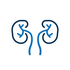 Kidneys Icon on white. Vector
