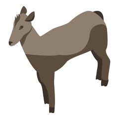 Animal female deer icon. Isometric of animal female deer vector icon for web design isolated on white background