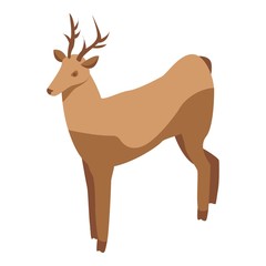 Wildlife deer icon. Isometric of wildlife deer vector icon for web design isolated on white background