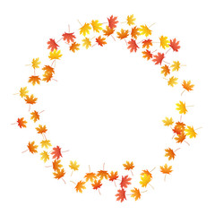 Maple leaves vector background, autumn foliage on white graphic design.