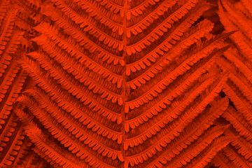 Lush lava toned abstract natural background