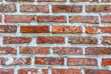 Fototapeta premium Brick Wall Detail