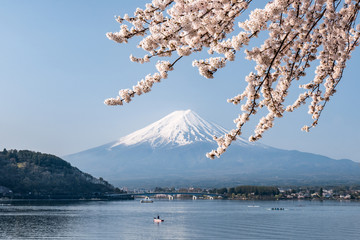 Mt. Fuji near Lake Kawaguchiko in spring