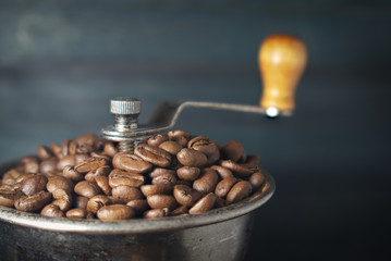 Coffee beans in a coffee grinder