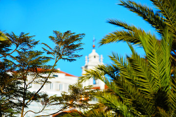 Behind the green branches of the trees the silhouette of the cathedral is visible