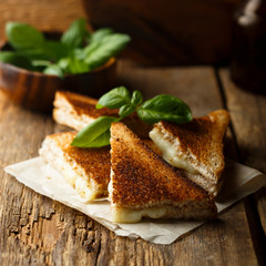 Homemade cheese toast with fresh basil