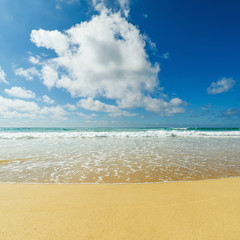  Empty sand beach in front of summer sea with copy space
