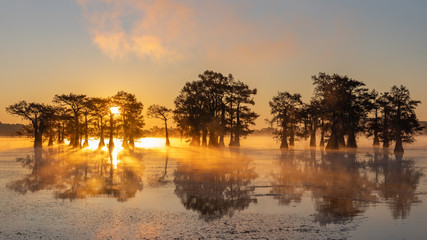 Sunrise at Swamp at Caddo Lake Texas - obrazy, fototapety, plakaty
