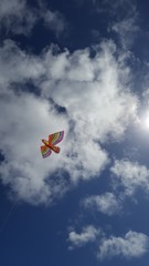 Kite in the sky 2