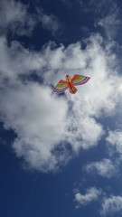 Kite in the sky