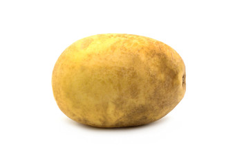 Single fresh potato isolated on white background. Clipping path