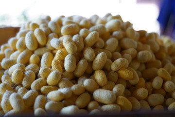 Nakhon Ratchasima,Thailand-December 7, 2019: Cocoons of silkworms or Bombyx mori